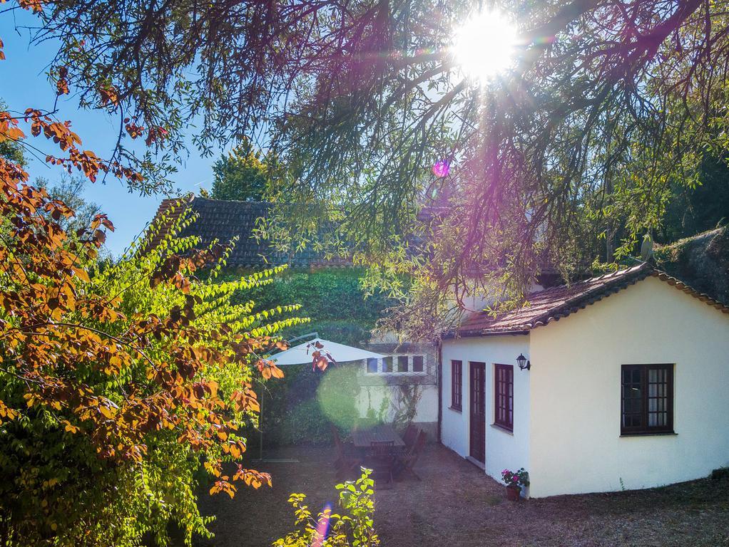 Casas De Massinos Βίλα Barroselas Εξωτερικό φωτογραφία